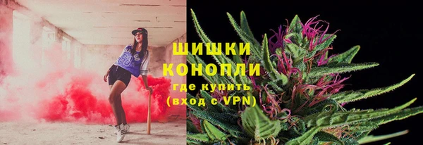 герыч Ельня